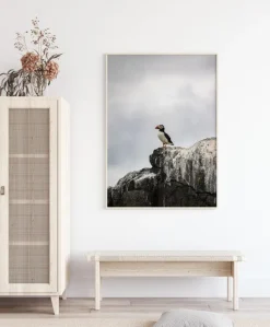Puffin Plakat (21x29.7 cm (A4))