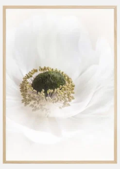 Pure Plakat (21x29.7 cm (A4))