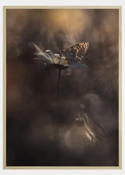 Pyrotechnics Plakat (21x29.7 cm (A4))