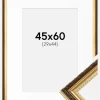 Ramme Abisko Guld 45x60 cm - Passepartout Hvid 30x45 cm