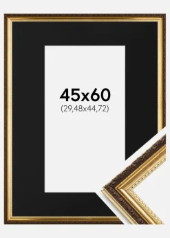Ramme Abisko Guld 45x60 cm - Passepartout Sort 12x18 inches (30,48x45,72 cm)