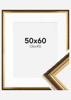 Ramme Abisko Guld 50x60 cm - Passepartout Hvid 37x46 cm