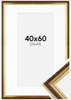 Ramme Abisko Guld 40x60 cm - Passepartout Hvid 25x50 cm