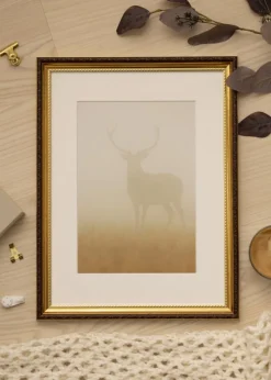 Ramme Abisko Guld 35x50 cm - Passepartout Hvid 30x35 cm