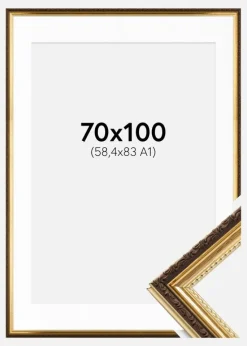 Ramme Abisko Guld 70x100 cm - Passepartout Hvid 59,4x84 cm (A1)