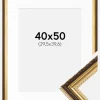Ramme Abisko Guld 40x50 cm - Passepartout Hvid 12x16 inches (30,48x40,64 cm)