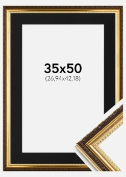 Ramme Abisko Guld 35x50 cm - Passepartout Sort 11x17 inches (27,94x43,18 cm)