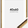 Ramme Abisko Guld 40x60 cm - Passepartout Hvid 32,9x48,3 cm (A3+)