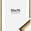 Ramme Abisko Guld 50x70 cm - Passepartout Hvid 16x24 inches (40,64x60,96 cm)