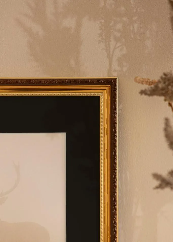 Ramme Abisko Guld 60x80 cm - Passepartout Sort 50x65 cm