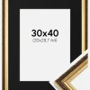 Ramme Abisko Guld 30x40 cm - Passepartout Sort 21x29,7 cm (A4)