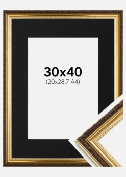 Ramme Abisko Guld 30x40 cm - Passepartout Sort 21x29,7 cm (A4)