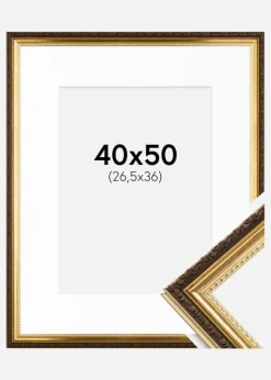 Ramme Abisko Guld 40x50 cm - Passepartout Hvid 27,5x37 cm