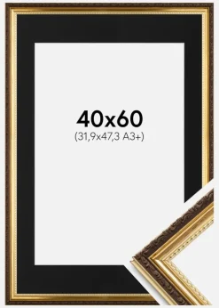 Ramme Abisko Guld 40x60 cm - Passepartout Sort 32,9x48,3 cm (A3+)