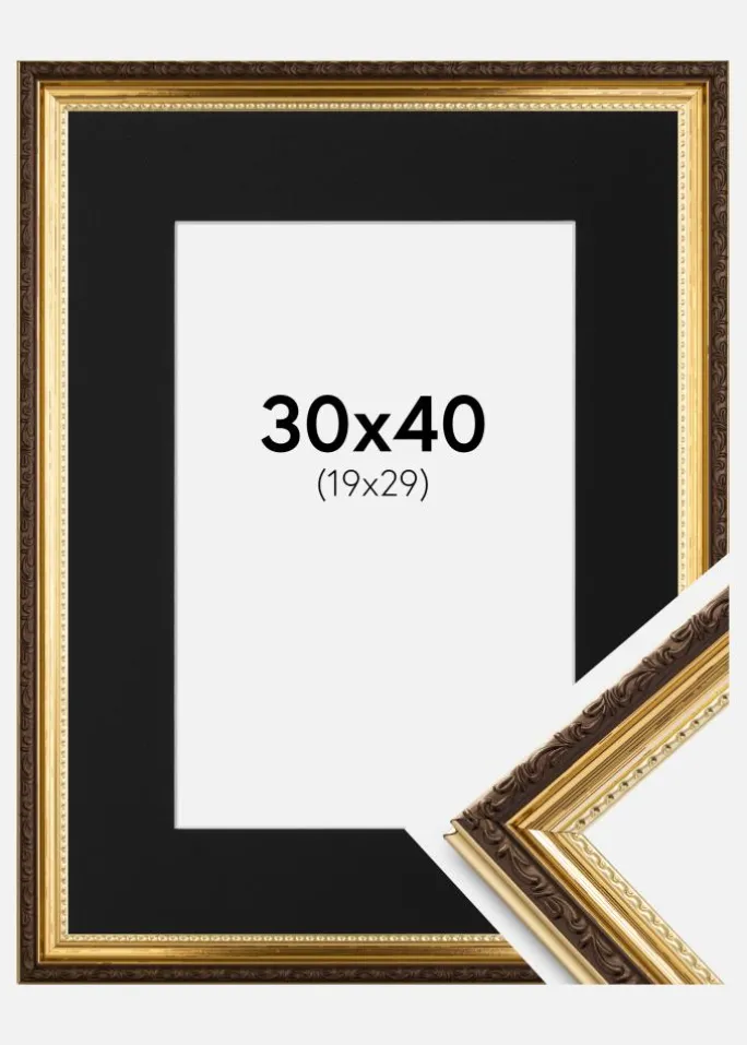 Ramme Abisko Guld 30x40 cm - Passepartout Sort 20x30 cm