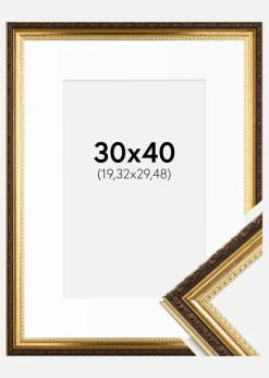 Ramme Abisko Guld 30x40 cm - Passepartout Hvid 8x12 inches (20,32x30,48 cm)