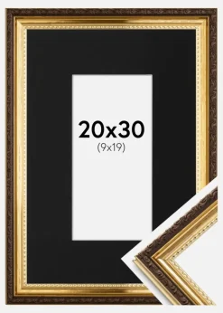 Ramme Abisko Guld 20x30 cm - Passepartout Sort 10x20 cm
