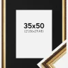 Ramme Abisko Guld 35x50 cm - Passepartout Sort 9x12 inches (22,86x30,48 cm)