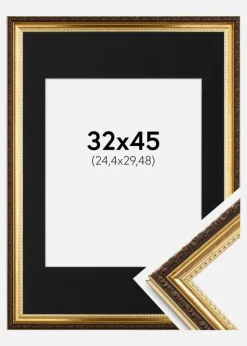 Ramme Abisko Guld 32x45 cm - Passepartout Sort 10x12 inches (25,4x30,48 cm)