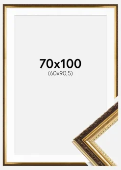 Ramme Abisko Guld 70x100 cm - Passepartout Hvid 61x91,5 cm