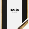 Ramme Abisko Guld 40x60 cm - Passepartout Sort 25x50 cm