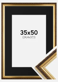 Ramme Abisko Guld 35x50 cm - Passepartout Sort 10x15 inches (25,4x38,1 cm)