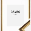Ramme Abisko Guld 35x50 cm - Passepartout Hvid 24x30 cm