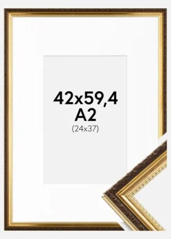 Ramme Abisko Guld 42x59,4 cm (A2) - Passepartout Hvid 25x38 cm