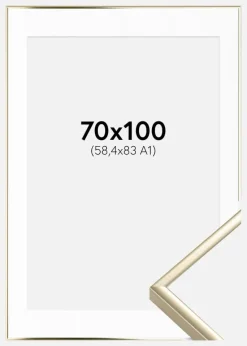 Ramme Aluminium Blank Guld 70x100 cm - Passepartout Hvid 59,4x84 cm (A1)
