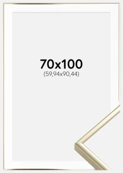 Ramme Aluminium Blank Guld 70x100 cm - Passepartout Hvid 24x36 inches