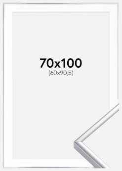 Ramme Aluminium Blank Sølv 70x100 cm - Passepartout Hvid 61x91,5 cm