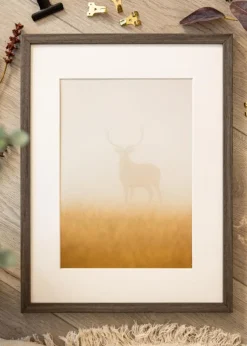 Ramme Ares grå Eg 50x70 cm - Passepartout Hvid 40x60 cm