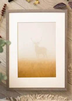 Ramme Ares Grå 40x50 cm - Passepartout Hvid 29,7x42 cm