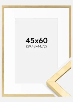 Ramme Ares Guld 45x60 cm - Passepartout Hvid 12x18 inches