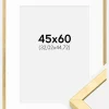 Ramme Ares Guld 45x60 cm - Passepartout Hvid 13x18 inches