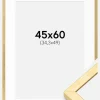 Ramme Ares Guld 45x60 cm - Passepartout Hvid B3 353x500 mm