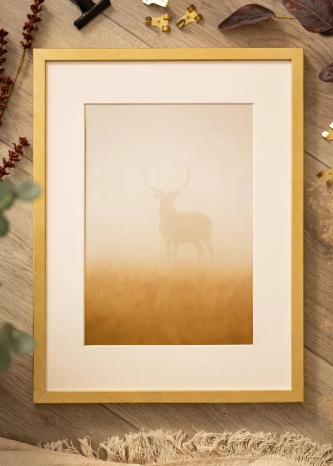 Ramme Ares Guld 50x60 cm - Passepartout Hvid 38x46 cm