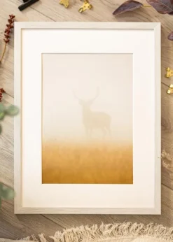 Ramme Ares Hvid Eg 50x60 cm - Passepartout Hvid 16x19 inches