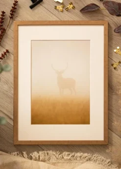 Ramme Ares Messing 50x50 cm - Passepartout Hvid 39x39 cm