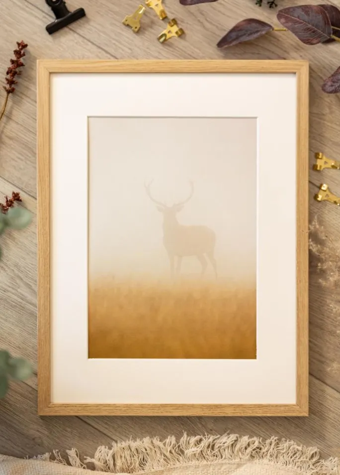 Ramme Ares Naturlig Eg 50x70 cm - Passepartout Hvid 39x60 cm