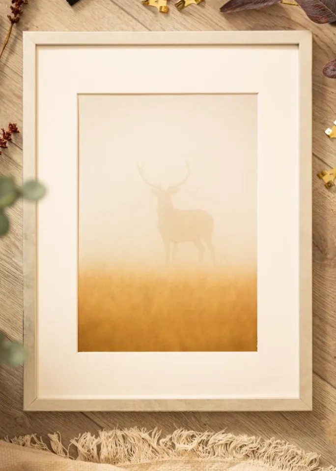 Ramme Ares Sølv 24x30 cm - Passepartout Hvid 5x8 inches