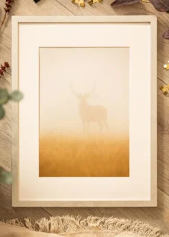 Ramme Ares Sølv 30x40 cm - Passepartout Hvid 20x30 cm