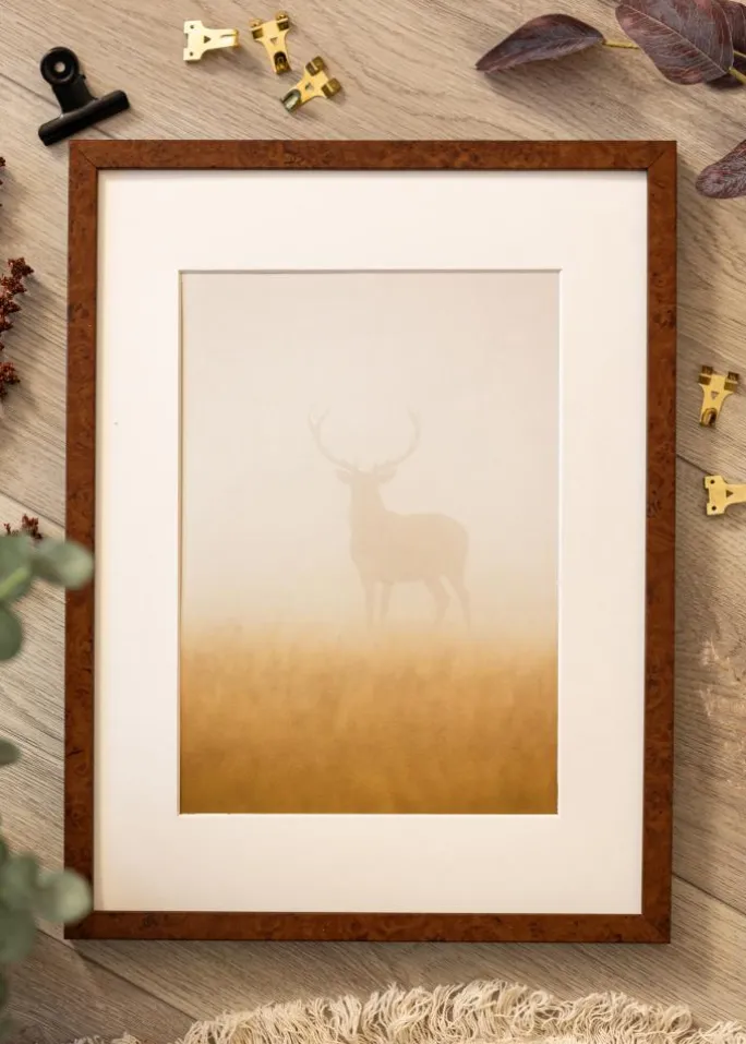 Ramme Ares valnød 45x60 cm - Passepartout Hvid B3 353x500 mm