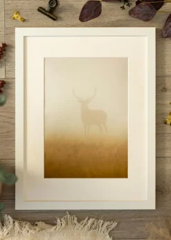 Ramme BGA Classic Akrylglas Hvid 42x59,4 cm (A2)