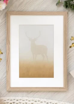 Ramme BGA Classic Eg 70x70 cm - Passepartout Hvid 24x24 inches