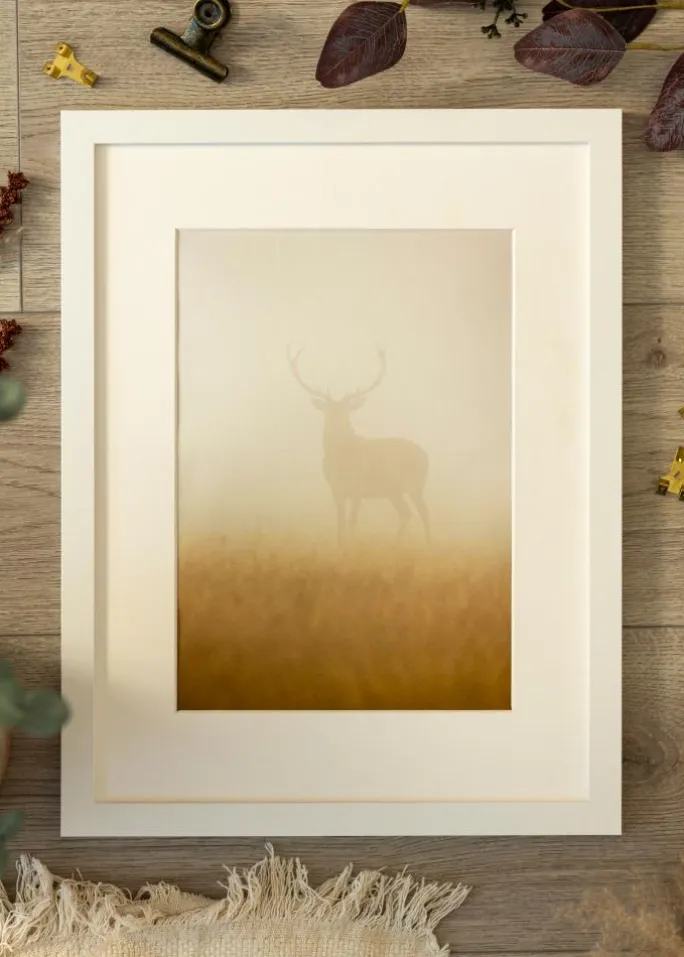 Ramme BGA Classic Hvid 70x70 cm - Passepartout Hvid 23x23 inches