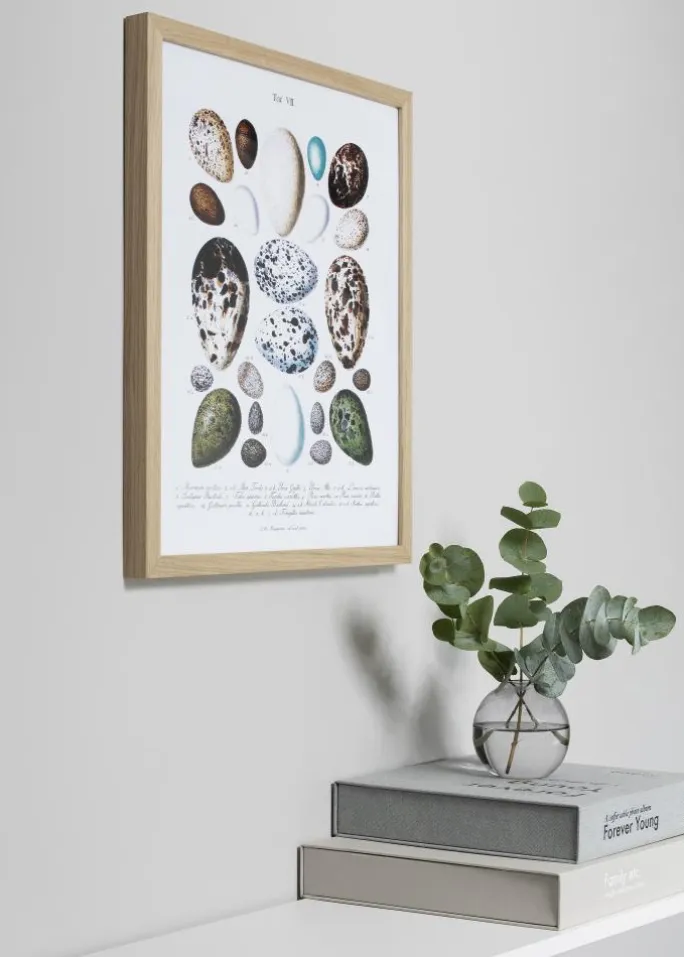 Ramme Björkö - Eg ubehandlet - Valgfri Størrelse (Plexiglas)