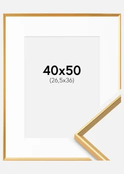 Ramme Desire Guld 40x50 cm - Passepartout Hvid 27,5x37 cm