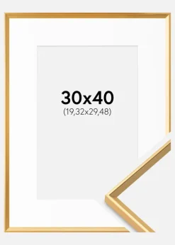 Ramme Desire Guld 30x40 cm - Passepartout Hvid 8x12 inches