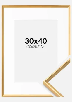 Ramme Desire Guld 30x40 cm - Passepartout Hvid 21x29,7 cm (A4)